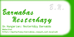 barnabas mesterhazy business card