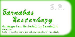 barnabas mesterhazy business card